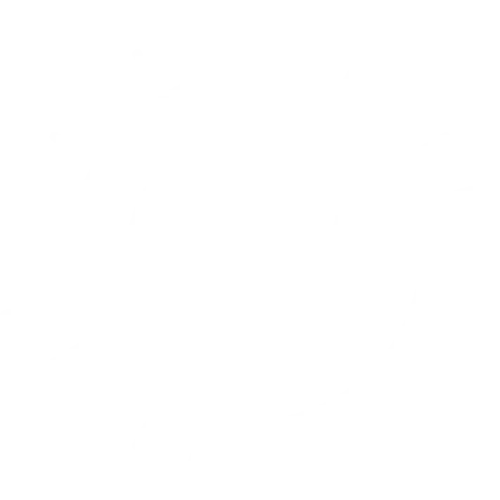 NBFM - Icoon zomer