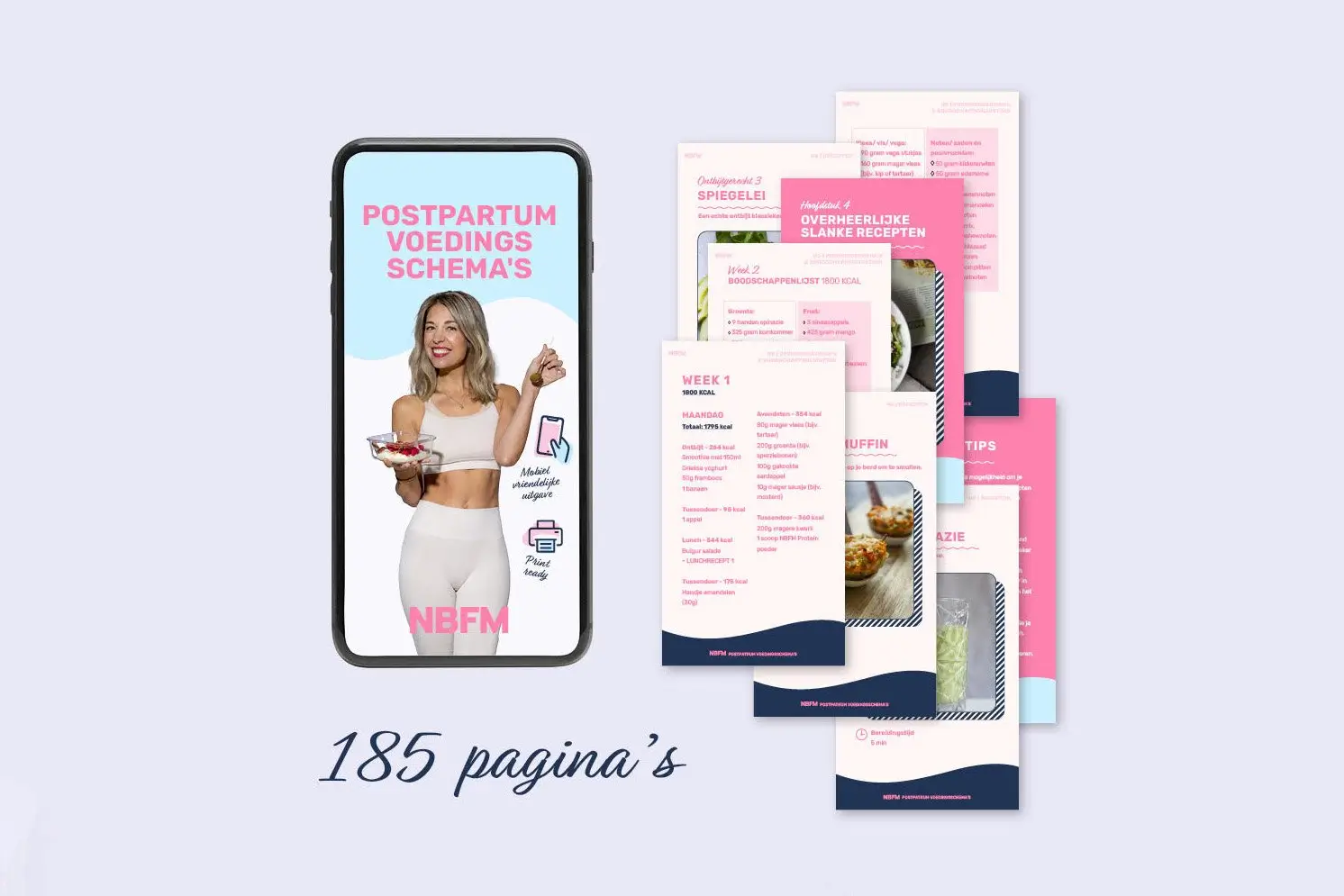 NBFM - NBFM - Postpartum Programma Voedingsplan